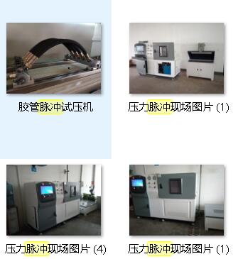 制動(dòng)軟管壓力脈沖疲勞試驗(yàn)機(jī)|剎車(chē)軟管脈沖疲勞試驗(yàn)機(jī)